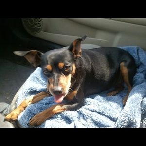 Meet your Posher, Tracy